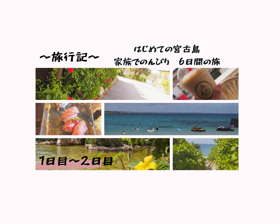19宮古島旅行記1,2日目ブログカード